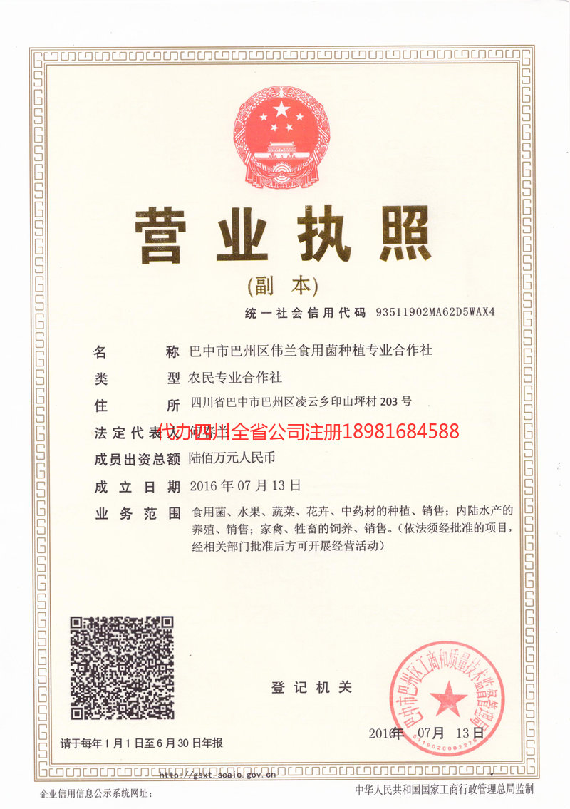 青岛青岛伟兰食用菌种植专业合作社